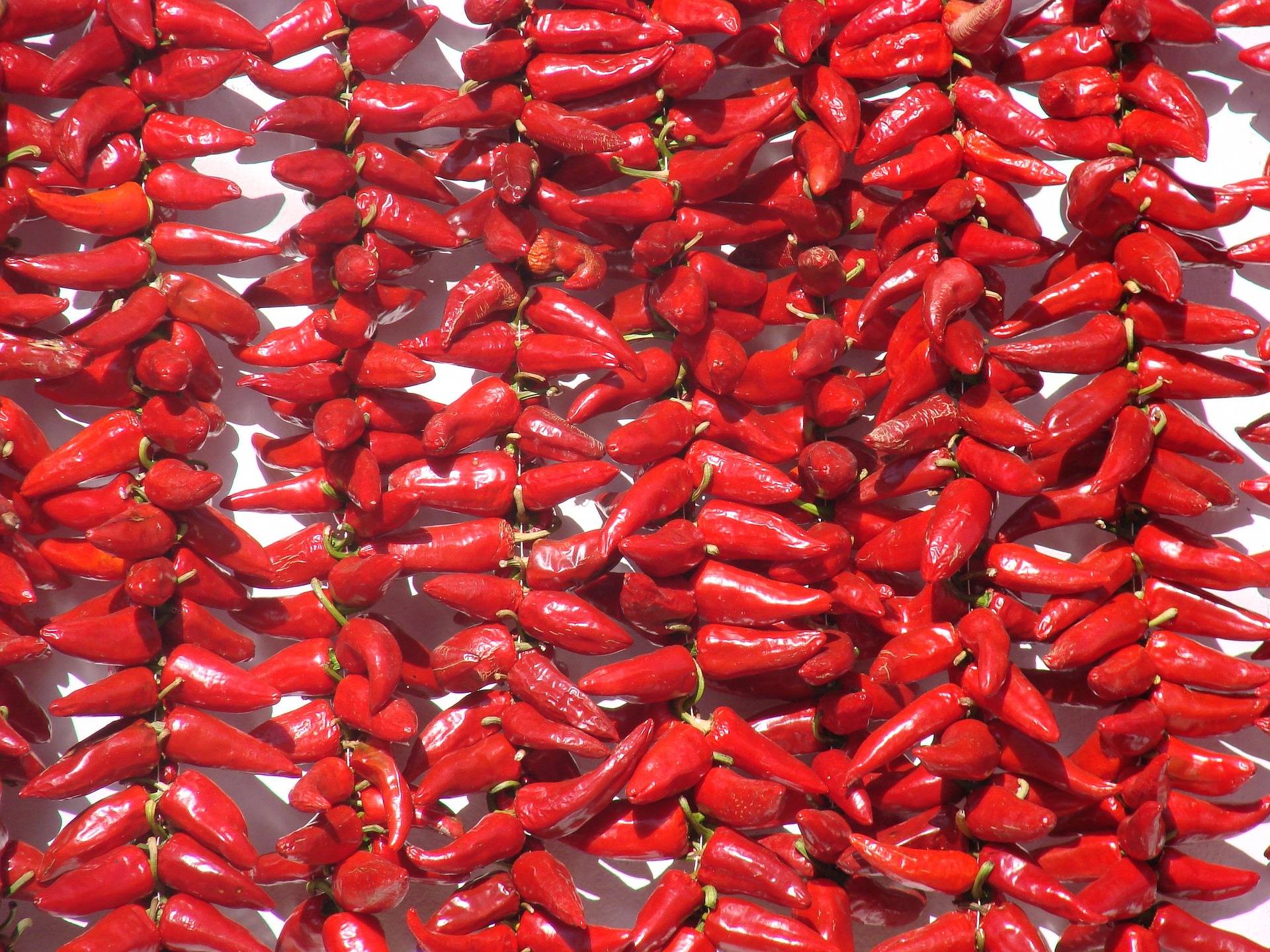 Piment d'Espelette