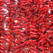 Piment d'Espelette